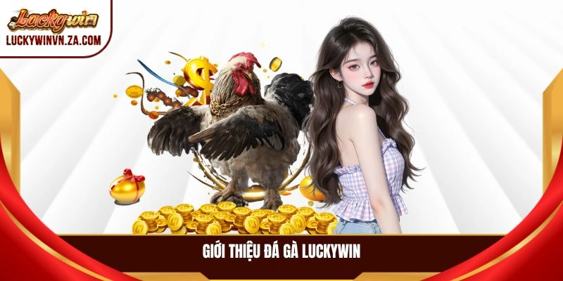 Giới thiệu đá gà LUCKYWIN
