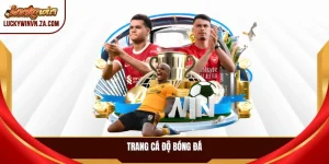 trang cá độ bóng đá
